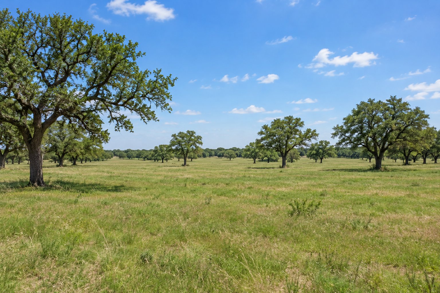 Weatherford, TX